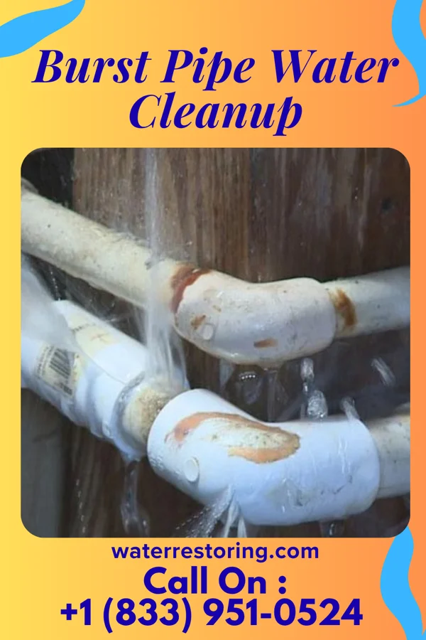 Burst Pipe Water Cleanup in Garten, WV