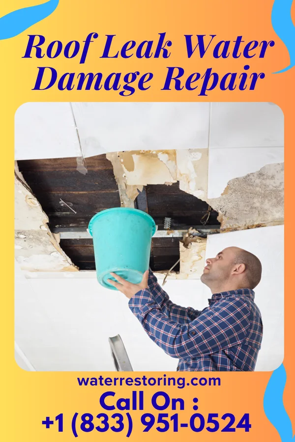 Roof Leak Water Damage Repair in Garten, WV