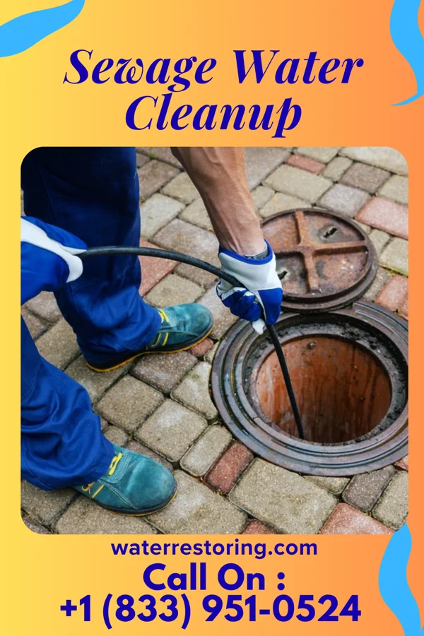 Sewage Water Cleanup in Garten, WV